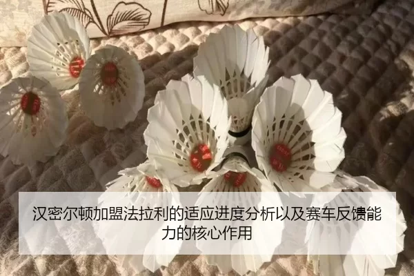 汉密尔顿加盟法拉利的适应进度分析以及赛车反馈能力的核心作用