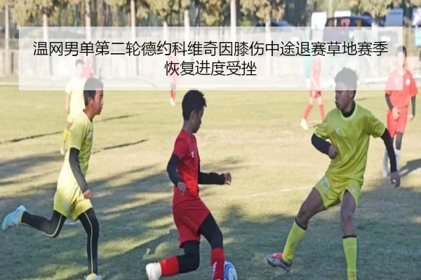 温网男单第二轮德约科维奇因膝伤中途退赛草地赛季恢复进度受挫